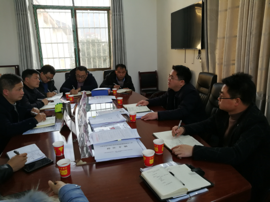 马文高督导村级两委换届工作