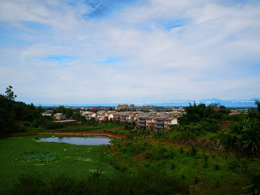 成都市旅游标准评定委员会公布了 蒲江县 插旗山村林盘景区 猕猴桃