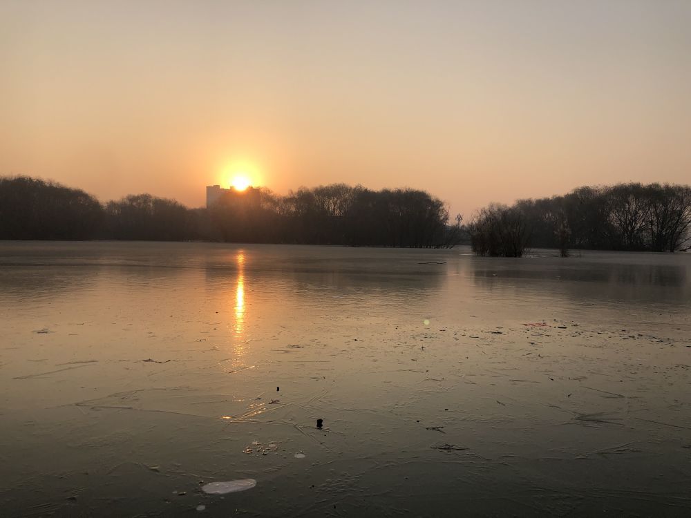 辛丑牛|2021年是寡年，老话说：“寡年不见春，人民留一半”，啥意思