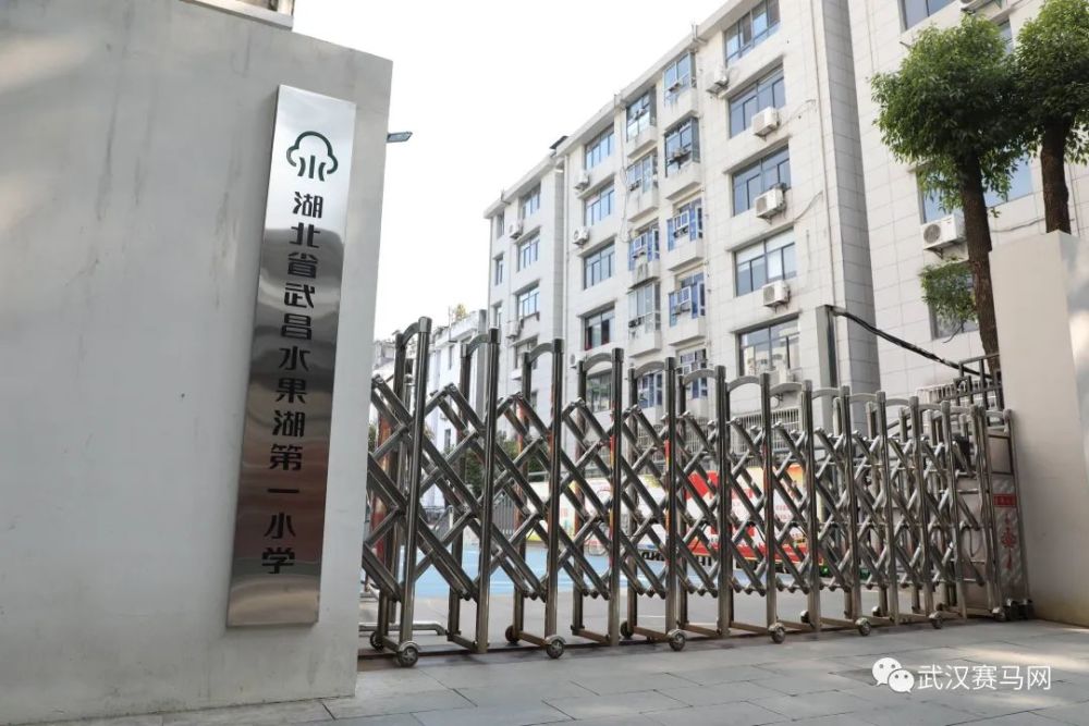 马术进校园马术进校园圆梦骑马心走进水果湖一小