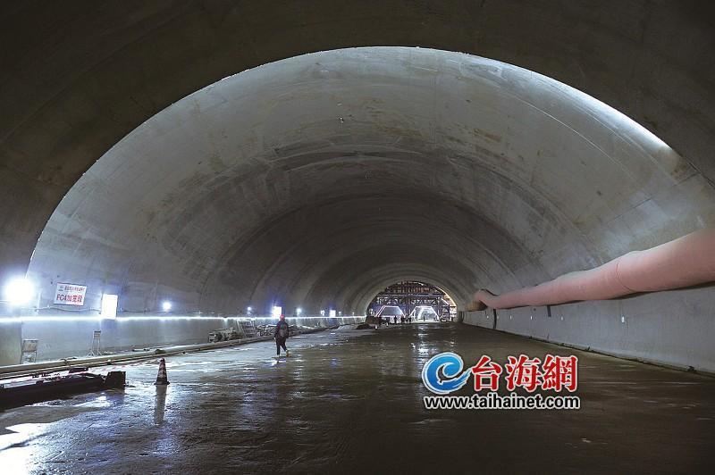 厦门海沧疏港通道图片