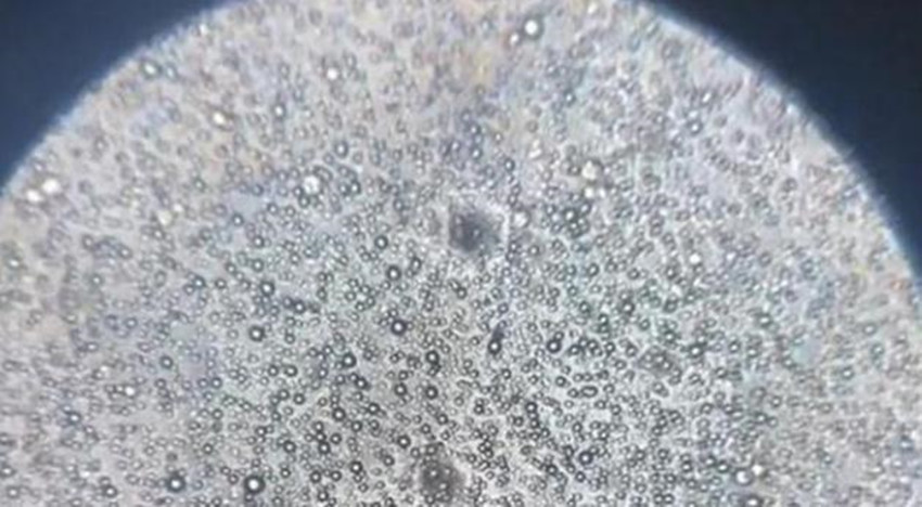 母乳是活的在1000倍显微镜下长这样纯净到令人难以置信