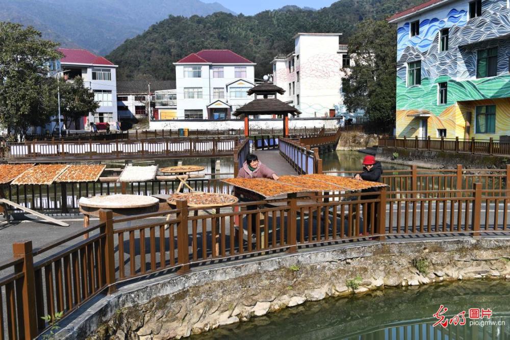 2020年12月22日,江西省宜春市靖安县水口乡青山村村民在晾晒红薯干.