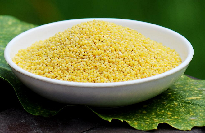 粟黍粟种植最古老半坡先民早知晓