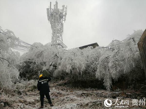 贵州冻雨图片大全图片