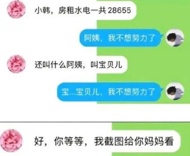 阿姨我不想努力了这结局我真是万万没想到哈哈哈哈哈