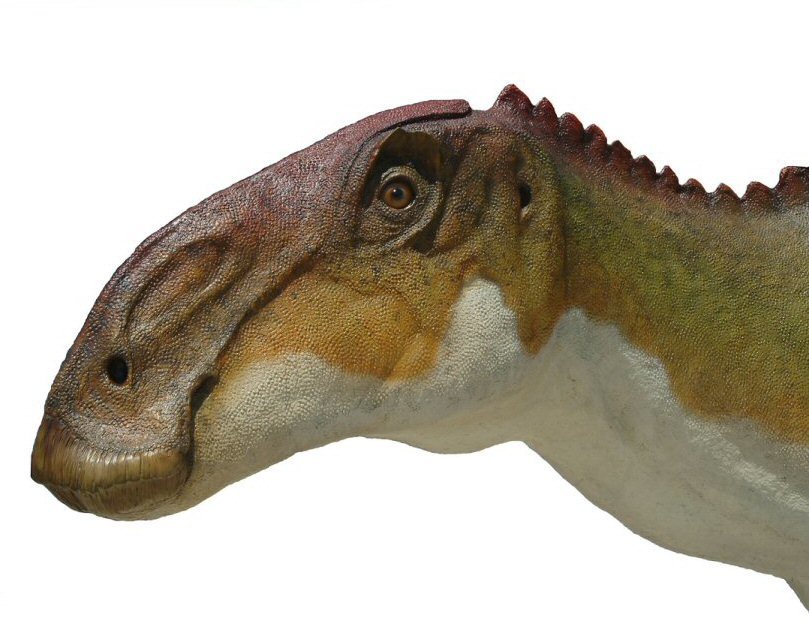 神奇恐龙木乃伊留下7800万年前最后晚餐!_腾讯新闻