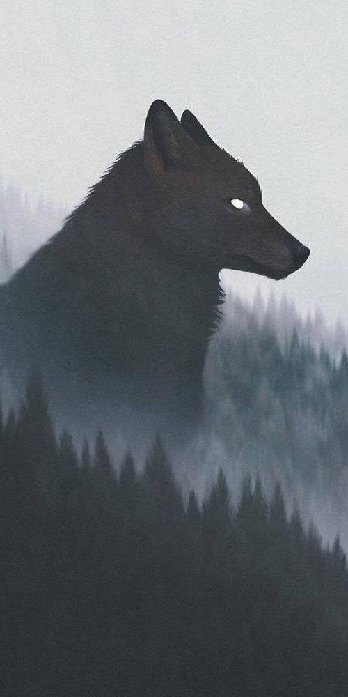 手机壁纸 狼灵手机壁纸 直击内心最深处 你能发现什么 腾讯新闻