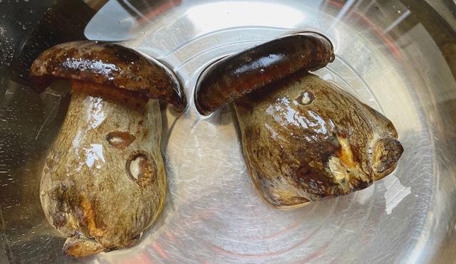 3,然后再将牛肝菌取出来,切成片备用,牛肝菌一切开就很快氧化了,可以