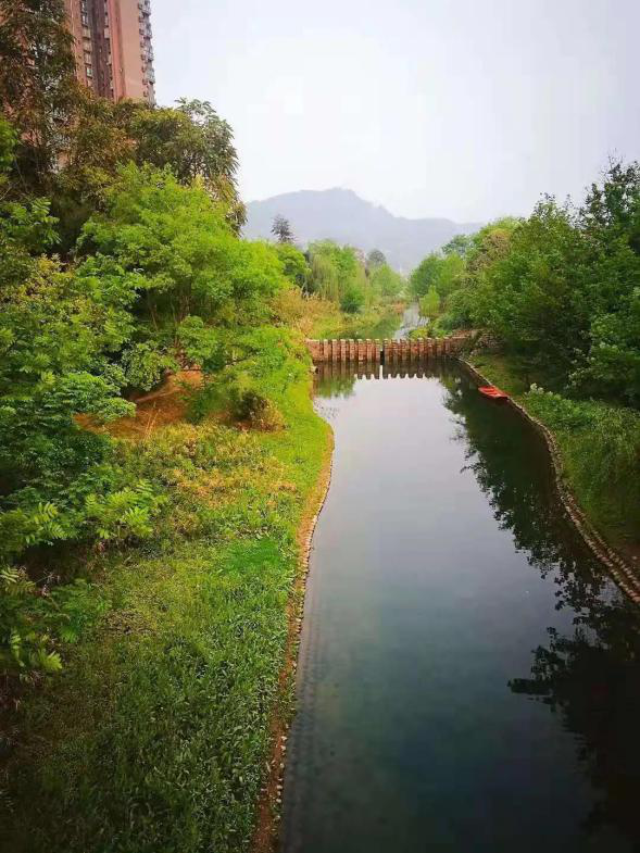 5年治理终见成效成都市龙泉驿芦溪河水质达到iii类标准
