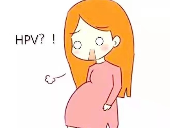 感染了hpv是否会影响女性怀孕?_腾讯新闻