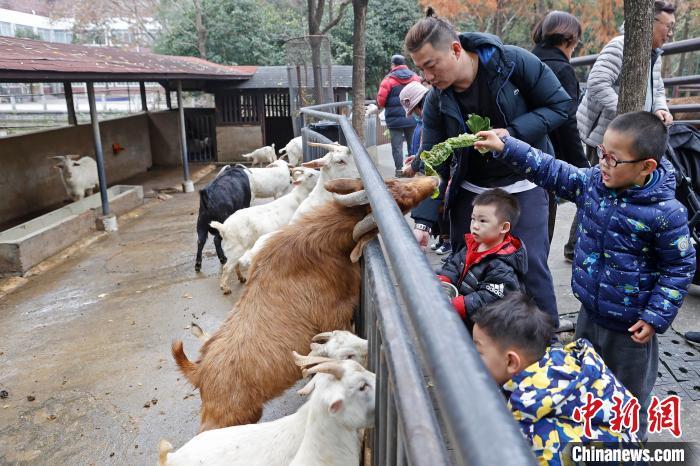 上海公园排行榜_冬日上海公园推荐暖阳下寻找生活味道(组图)