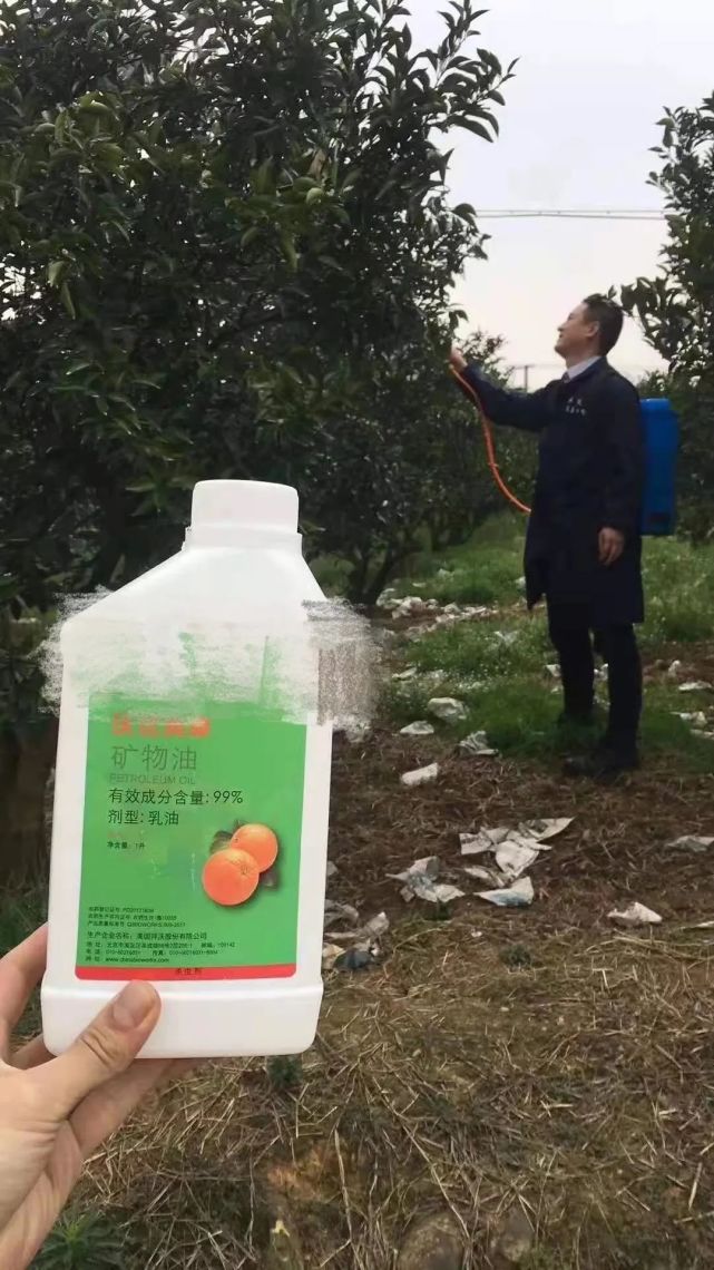 配以輔助殺蟲劑如阿維菌素,毒死蜱,丙溴磷(部分地區柑橘園禁用),殺砂