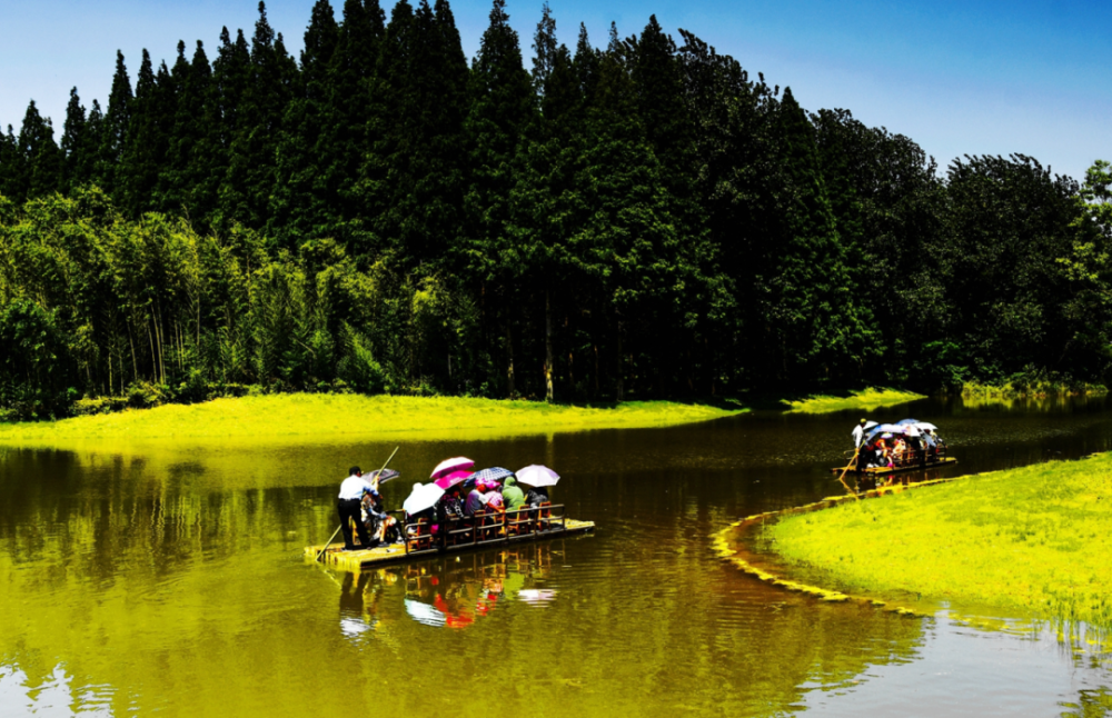 长三角康养小镇项目落户东台背后的故事……_腾讯新闻