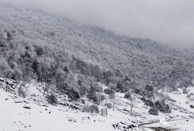 荍坝镇黄连山 ,民建镇马儿山大竹堡乡仰天窝马边三河口镇金家沟村▽