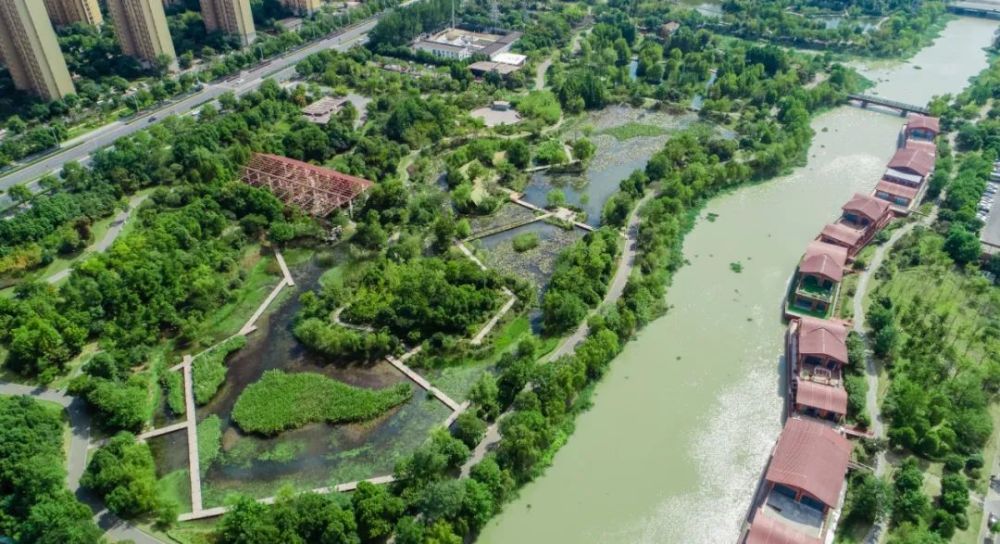 常州皇粮浜湿地公园图片