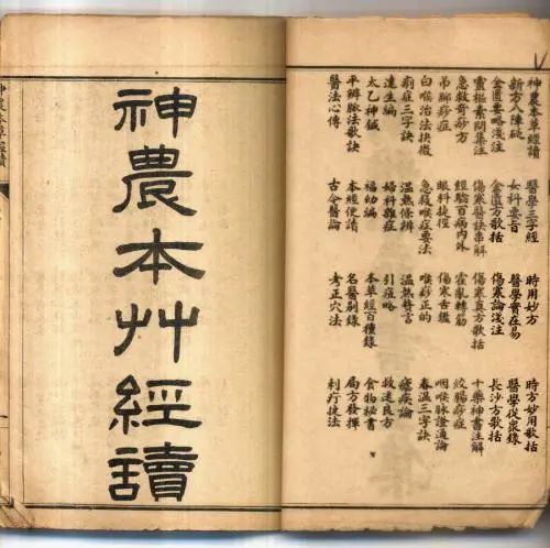 增免疫,轻身不老!有问题,找灵芝没错!_腾讯新闻