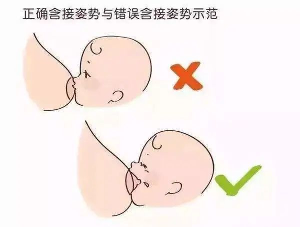 正确的含乳可以确保宝宝吃到乳房中的奶水,促进更多的乳汁分泌,同时
