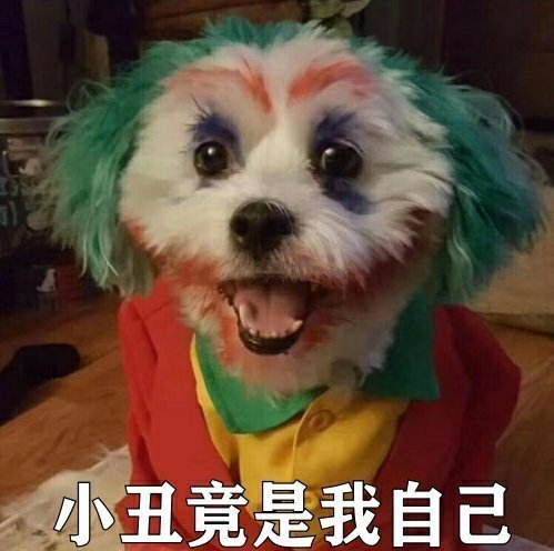 小丑梗太火了,快来收表情包,小丑竟是我自己.jpg_腾讯新闻