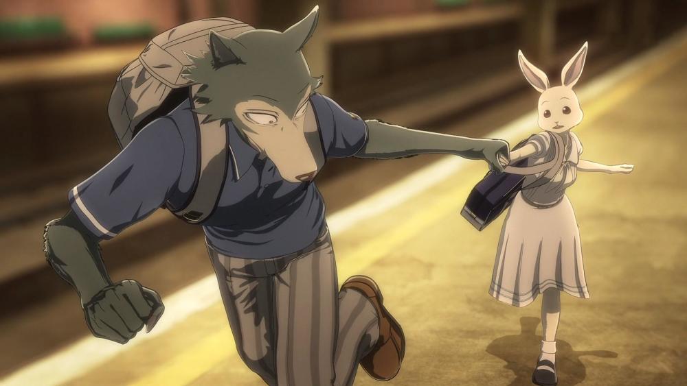 《动物狂想曲第二季》动物狂想曲第一季的反响十分热烈,通过对动物的