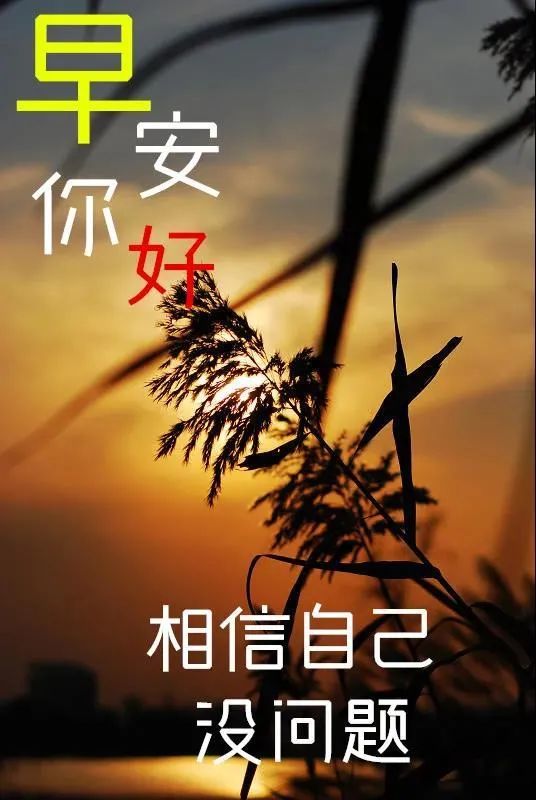 朋友圈早安正能量句子 最美冬日风景早上好图片带祝福语微信群发早上