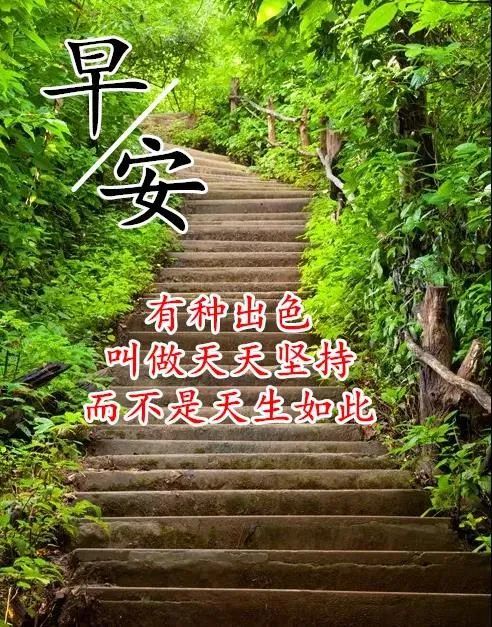 冬季最美早安圖朋友圈早安正能量句子最美冬日風景早上好圖片帶祝福語