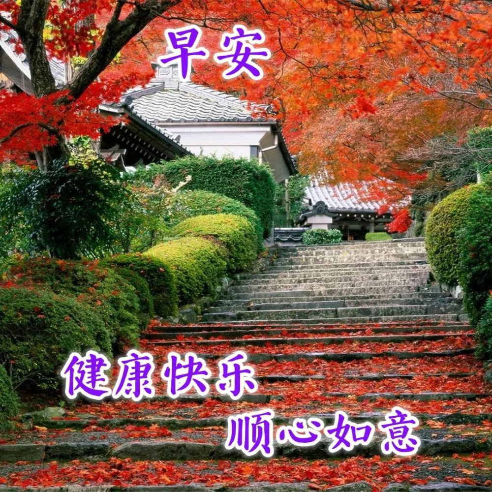冬天超暖心早上好问候祝福唯美图片 顺心如意的早安祝福_腾讯新闻