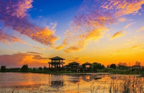平度2020gdp_2020年一季度平度经济运行基本情况公布