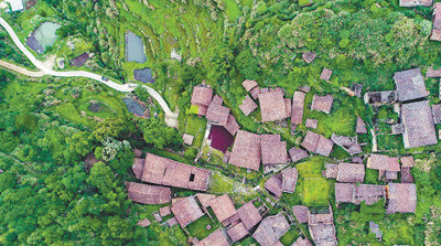 稠溪村的安居路生态扶贫见成效