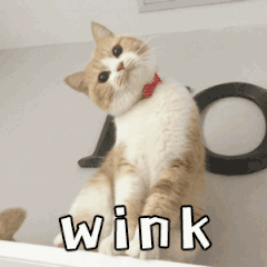 641