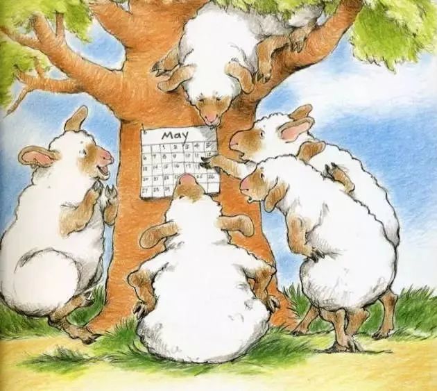 英文绘本故事|《sheep in a shop》小羊逛商店_腾讯新闻