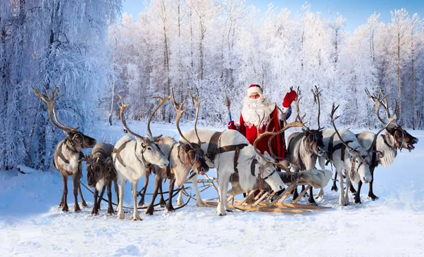 屯这些圣诞词汇过节啦!