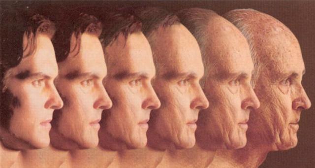 理论上小龙虾可以实现永生两者同属于碳基生命人类为何不行