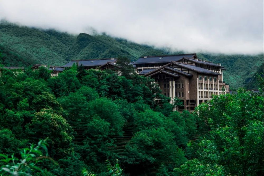 四季更迭美好如初