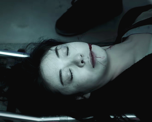 巡回检察组借用电脑山庄杀人案还原冯森妻子郑玮丽之死