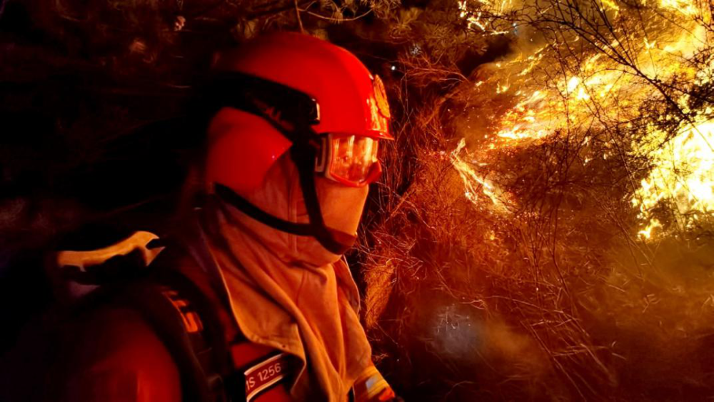 火蓝印记|森林消防员——森林草原的守护者