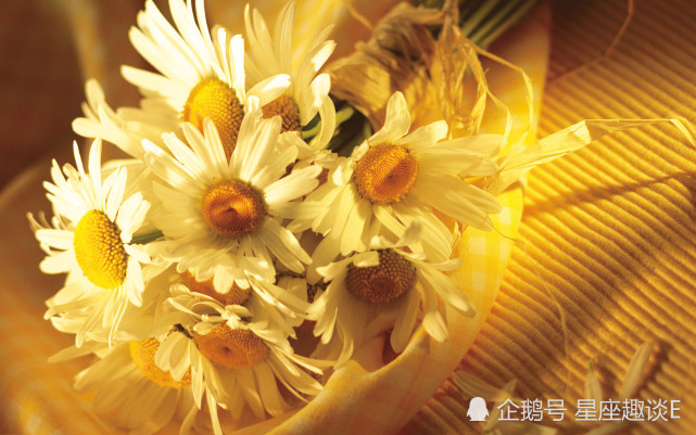 12月25日星座运势 不惧艰险 勇往直前的四大星座 狮子座 天蝎座 水瓶座 星座 星座运势 白羊座