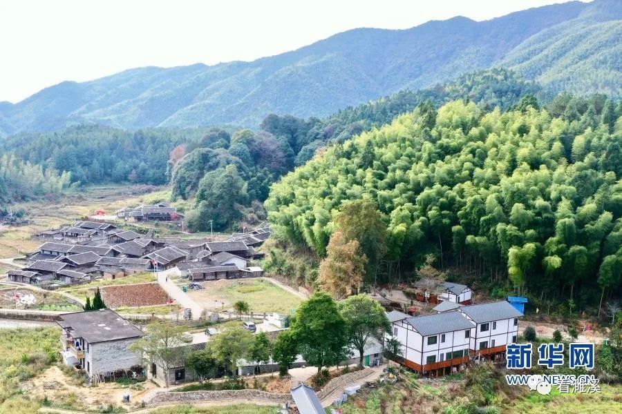 这是11月25日拍摄的福建省三明市明溪县夏阳乡旦上村生态景观(无人机