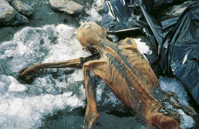 冰山上发现干尸姿势怪异专家他死于5300年前的一场谋杀