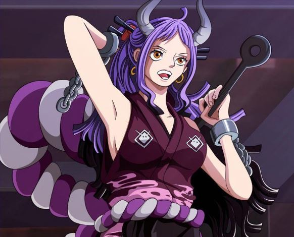 海贼王草帽海贼团的新船员确定不是那只兔子而是这个漂亮的小龙女