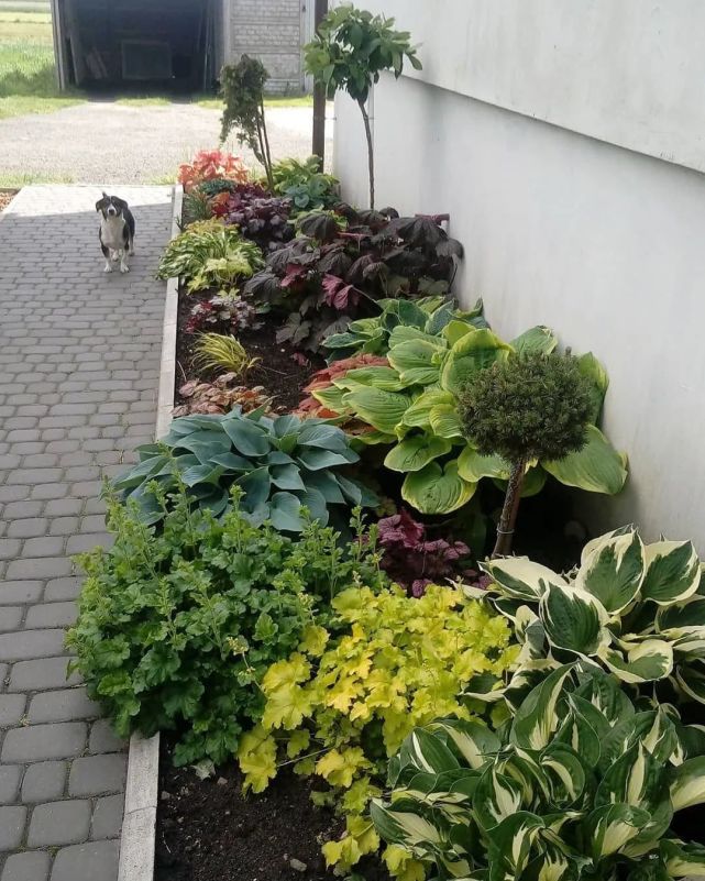 精品庭院花園景觀,簡單易懂的花境配置,不同空間層次的植物選擇與配置