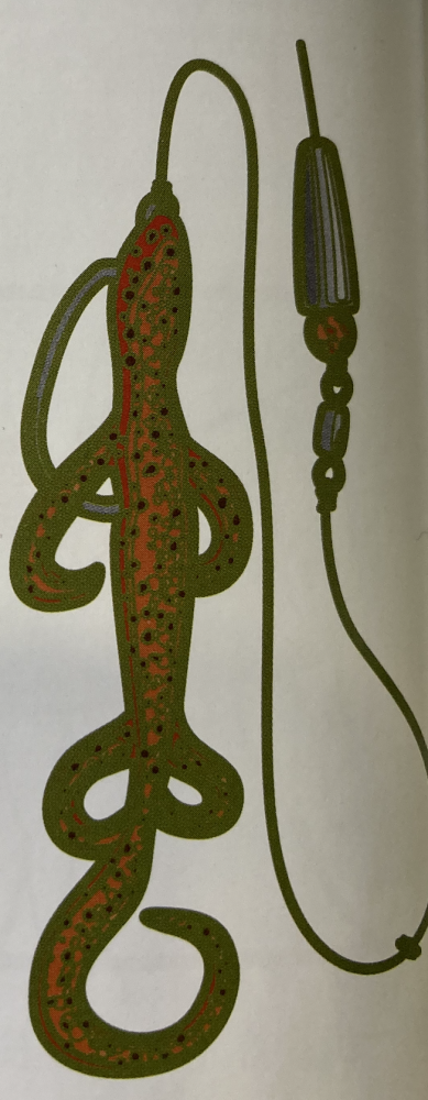 4,倒挂挂饵法【nose-hooked rigging a soft plastic on a dropshot】