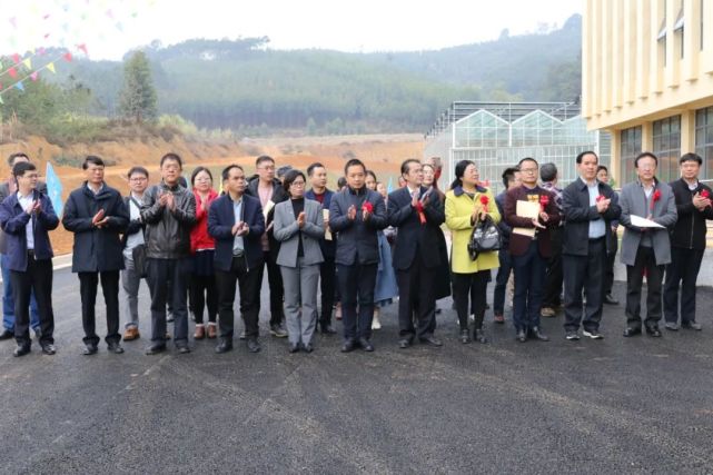 中國熱帶農業科學院副院長劉國道,張以山,李開綿,自治區糖業發展辦公