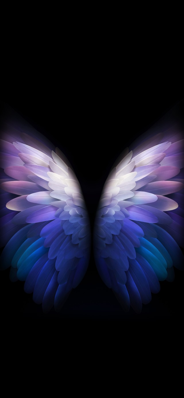 高清手机壁纸>蓝色翅膀/蝴蝶|手机壁纸|翅膀|蝴蝶