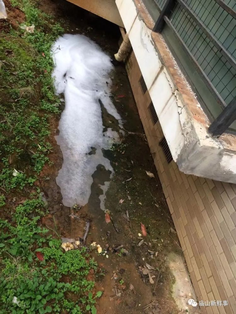 庙山这个小区洗衣机污水直排地面,一楼住户苦不堪言!