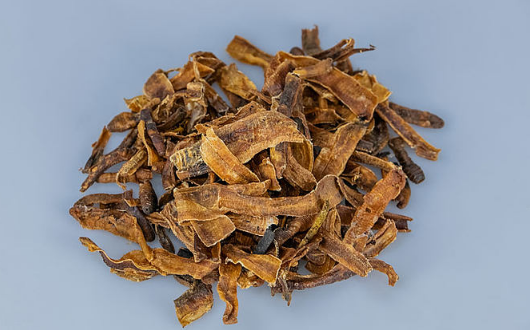 曲蟮(蚯蚓)对特发性震颤有什么作用呢_腾讯新闻