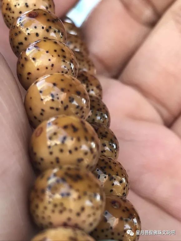 原生态星月菩提包浆开片效果什么样?