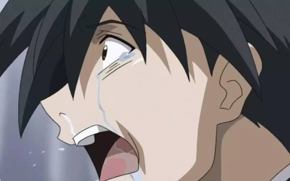 动漫中令人印象深刻的圣诞节渣男伊藤诚殒命言叶抱头痛哭