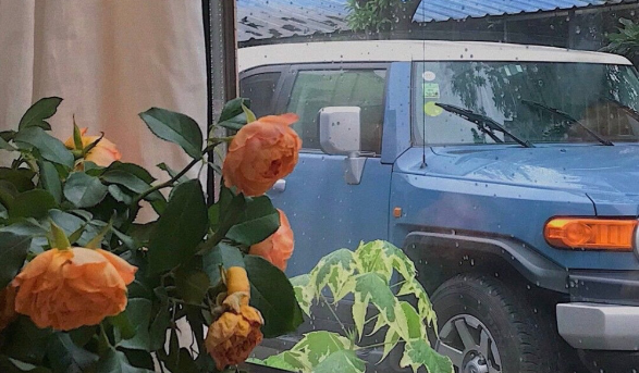 性格倔强 永不服输的三大星座 不甘心屈居人下 信命但不认命 腾讯新闻