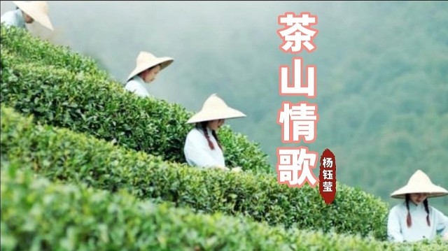 楊鈺瑩茶山情歌完整版